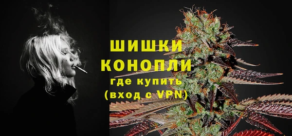 PSILOCYBIN Богородск
