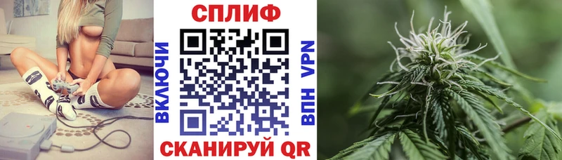 где купить наркотик  Вельск  Конопля White Widow 